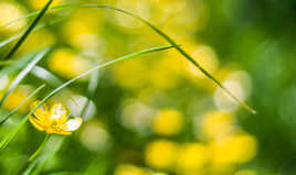 personne n'aime le beurre