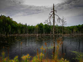 Mystère au lac Blanc