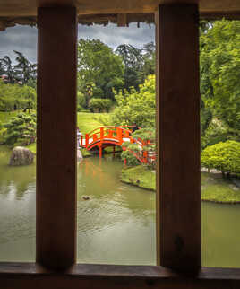 A travers les barreaux