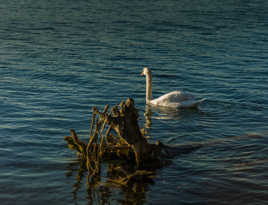 J ai dit pas de photos !!