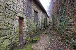 Froidure et humidité