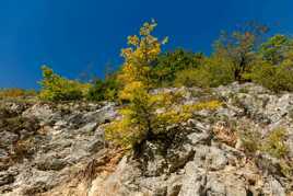 Accrocher aux rochers