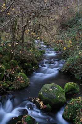 Sous-Bois