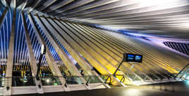 les Guillemins de nuit.6