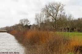 embrasement bord de Loire