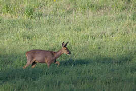 Allons nous dégourdir les jambes