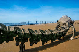 "serpent d'océan" : à l'attaque