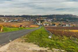 Berceau du Champagne