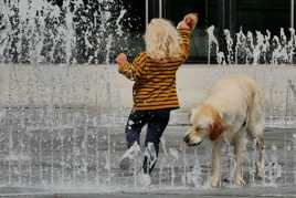 L'enfant et le chien