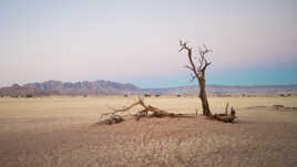 Désert du Namib
