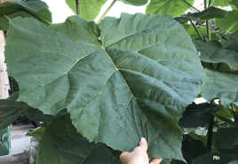 Année d'abondance !