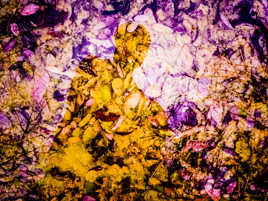 surimpression dans une flaque