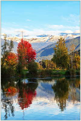 Les couleurs de l'automne 3