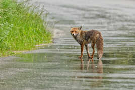 Dernier regard avant de s'en aller...