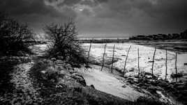 nostalgie de pélicule