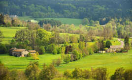 Série "Comme un tableau n°20" Version 2 Araules