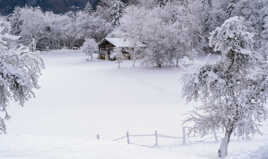 Nouvelle année givrée !