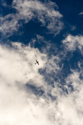 Hhheee!! dessines-moooi un moutooon