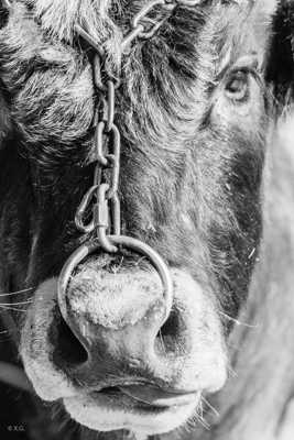 Je vous ai à l'oeil