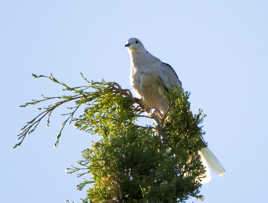 Ouf, enfin arrivée !!!