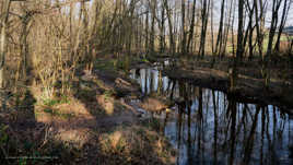 je serpente entre lumière et ombre