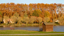 Fin de journée sur l'étang