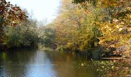 Couleurs de novembre