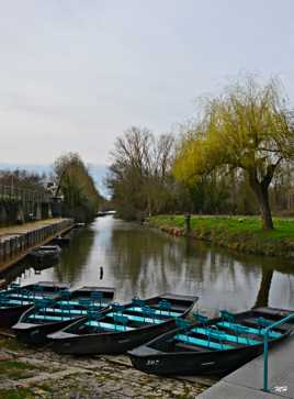 Barques à touristes