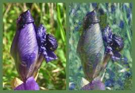 La jeune… et la vieille