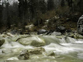 ruisseau au printemps