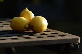 Citrons