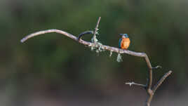 Une touche de couleurs