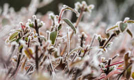 l'hiver est bien là !!!