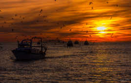 Bateaux rentrant au port