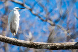 Je travaille mon équilibre
