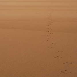 Mais qui est passé par là ?