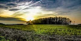Beau couché de soleil 4
