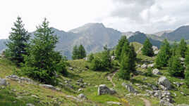 Col de Vars