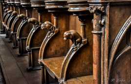 Eglise St Jacques,Liège. 14