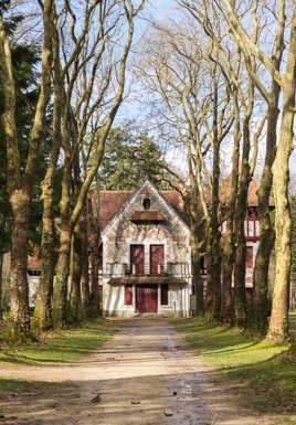 Promenons-nous dans les bois...