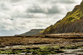 Le parfum des algues