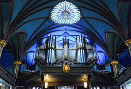 Orgue bleue