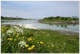 la petite maison au bord de l'eau