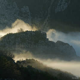 Un petit carré d'ambiance.