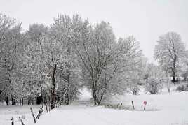 Paysage hivernal