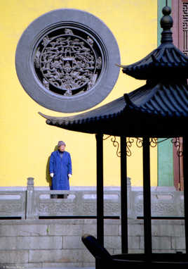 Moine sur fond jaune