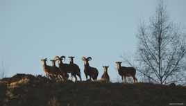 Quoi nos gueules,qu'est ce qu'elles ont nos gueules ?