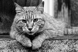 Tout est dans le regard