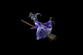 Sorcière de verre
