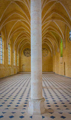 Saint-Jean-des-Vignes